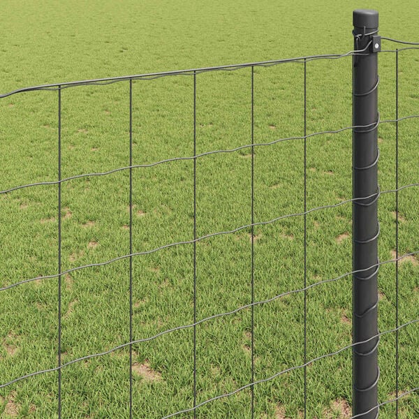 A apresentar a imagem do produto 4 de 9