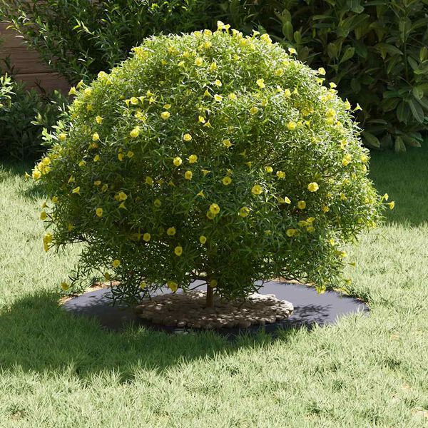 A apresentar a imagem do produto 3 de 9
