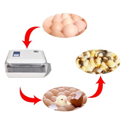 Incubadora automática de ovos para 24 ovos de galinha