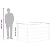 vidaXL Canteiro elevado para jardim WPC 150x100x91 cm cinzento