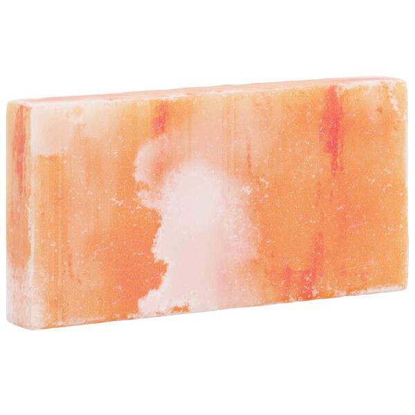 vidaXL Pedras de Sal 10 pcs Rosa 20 x 2,5 x 10 cm Sal de Rocha