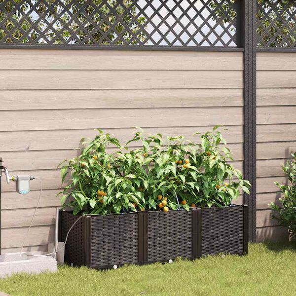 A apresentar a imagem do produto 2 de 10
