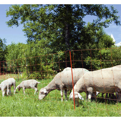 Neutral Rede para ovelhas eletrificável OviNet 108 cm laranja