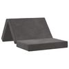 vidaXL Sof&aacute; Cama Dobr&aacute;vel 100 x 67 x 45 cm Cinzento-Escuro