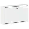High_gloss_white