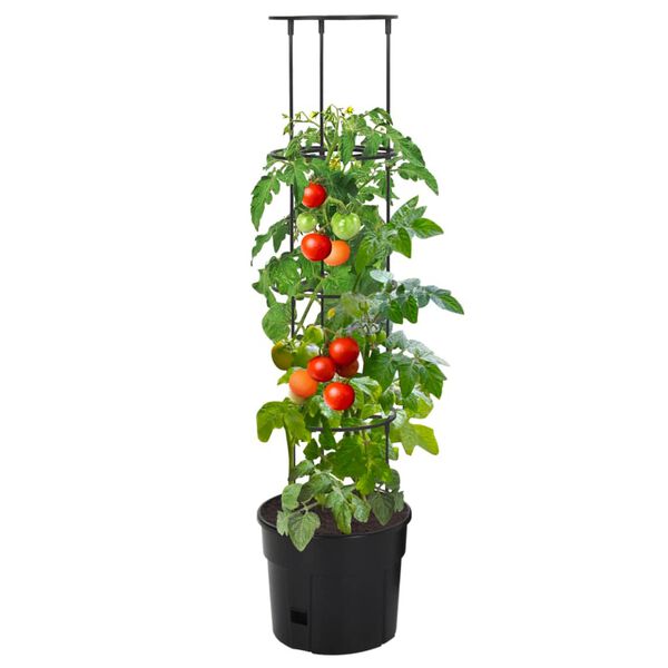 A apresentar a imagem do produto 2 de 6