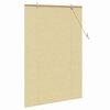 vidaXL Estores de rolo com cortinas Manual Natura 110 x 160 cm Bambu