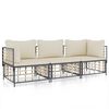 vidaXL 3 pcs conjunto lounge de jardim c/ almofad&otilde;es vime PE antracite