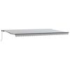 vidaXL Toldo retr&aacute;til manual 600x300 cm antracite e branco