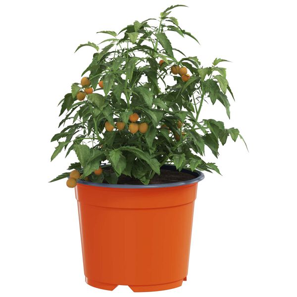 A apresentar a imagem do produto 3 de 11