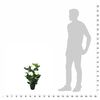 Imagem em miniatura do produto 3 de 3