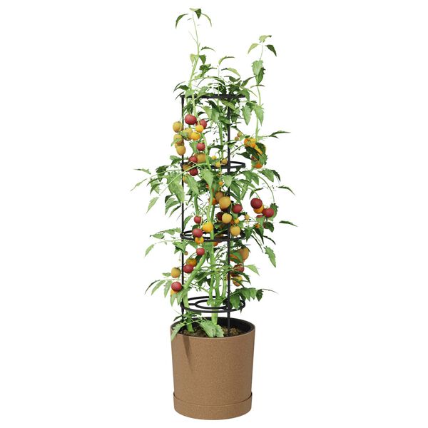 A apresentar a imagem do produto 3 de 6