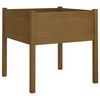 vidaXL Vaso/floreira de jardim 70x70x70 cm pinho maci&ccedil;o castanho-mel