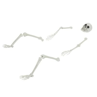 Esqueleto de Halloween com estacas de chão branco 45,5 x 13 cm