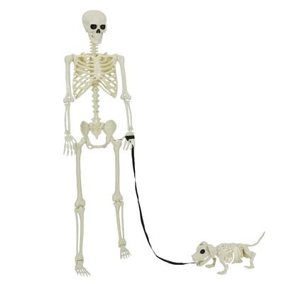 Conjunto de 2 esqueletos de Halloween brancos 155 x 38,5 cm