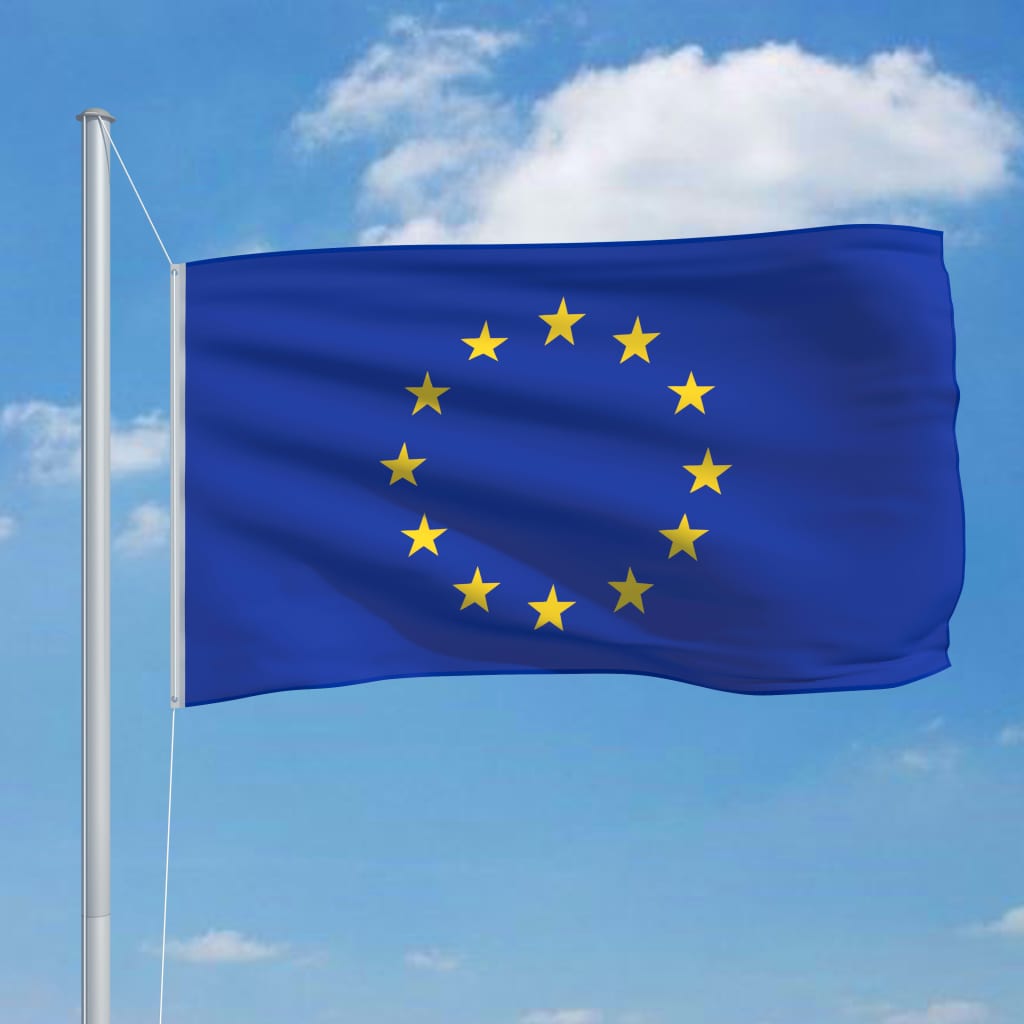vidaXL Bandeira da Europa 90x150 cm