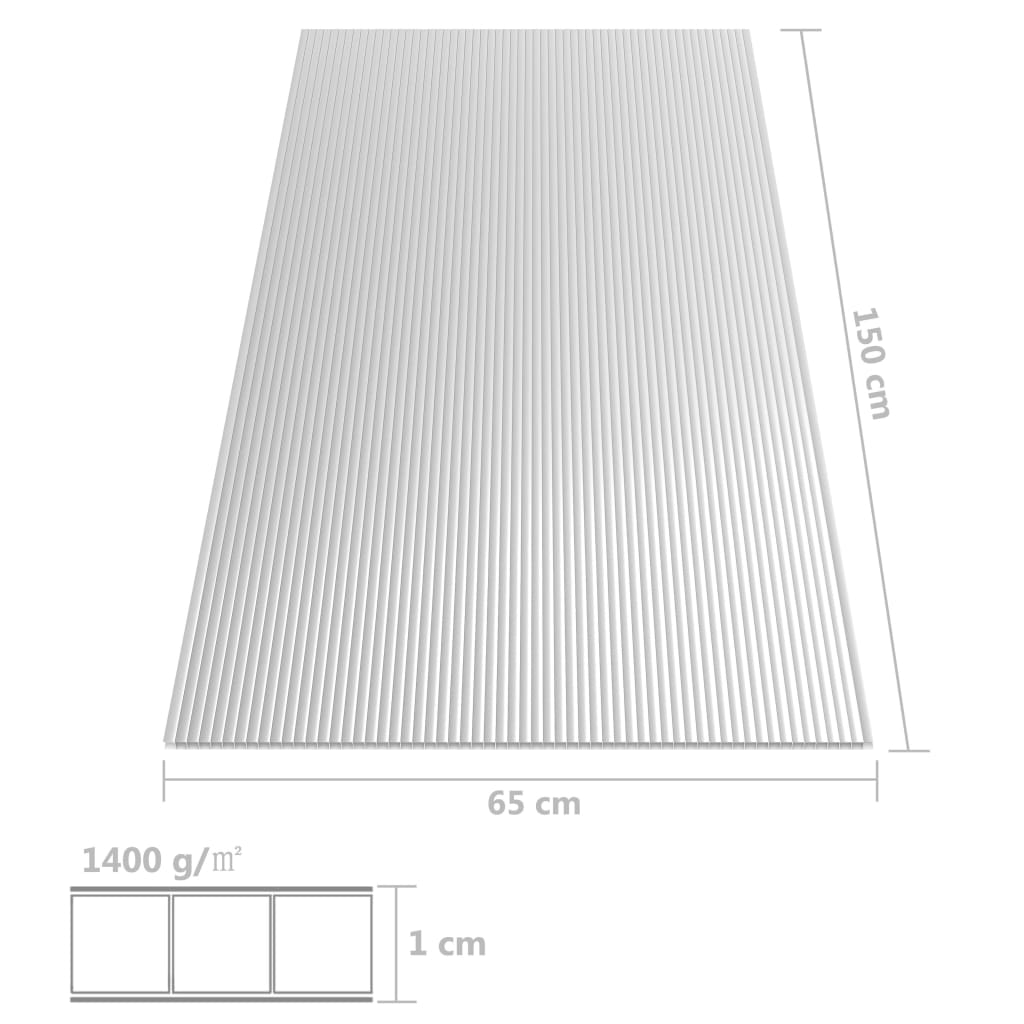 vidaXL Placas de policarbonato 2 pcs 10 mm 150x65 cm