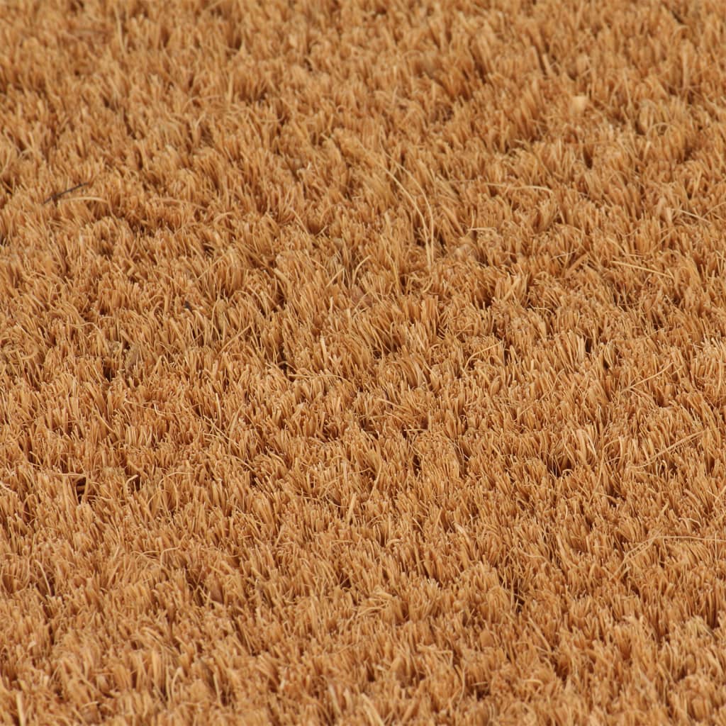 vidaXL Tapete de porta 100x300 cm fibra de coco tufada natural