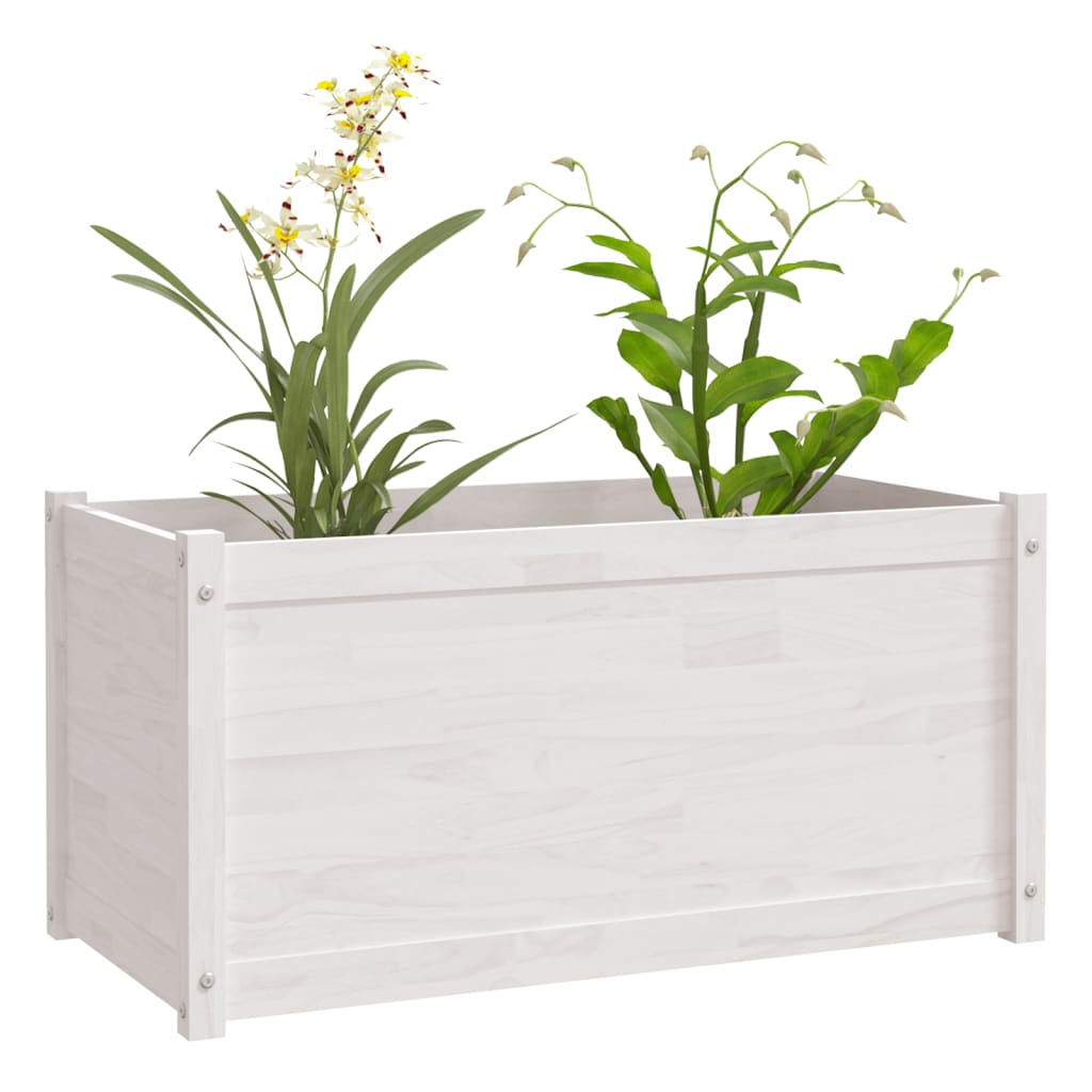 vidaXL Vaso de jardim 100x50x50 cm madeira de pinho maciça branco