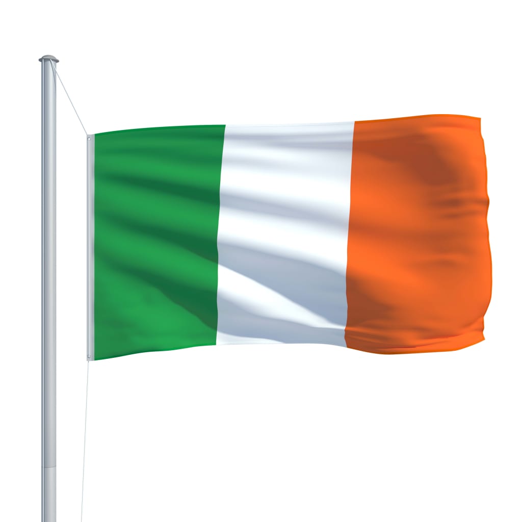 vidaXL Bandeira da Irlanda com mastro de alumínio 6,2 m