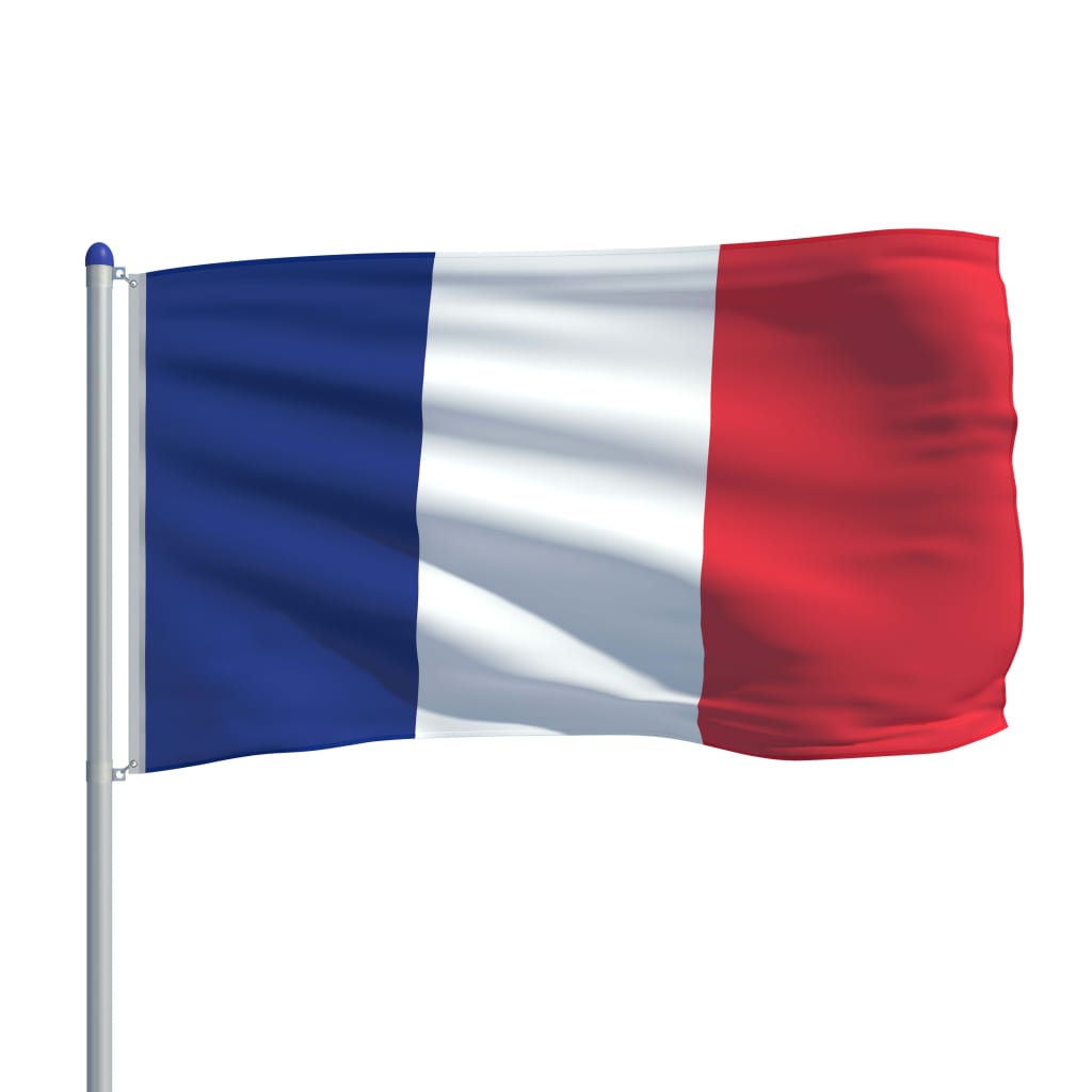 vidaXL Bandeira da França com mastro de alumínio 6 m