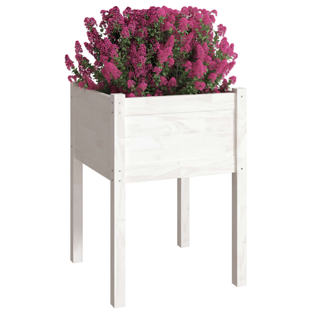 vidaXL Vaso de jardim 50x50x70 cm madeira de pinho maciça branco