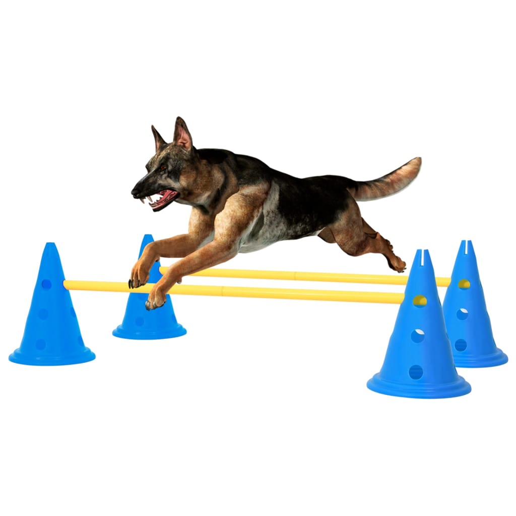 vidaXL Conjunto de obstáculos para atividades caninas azul e amarelo