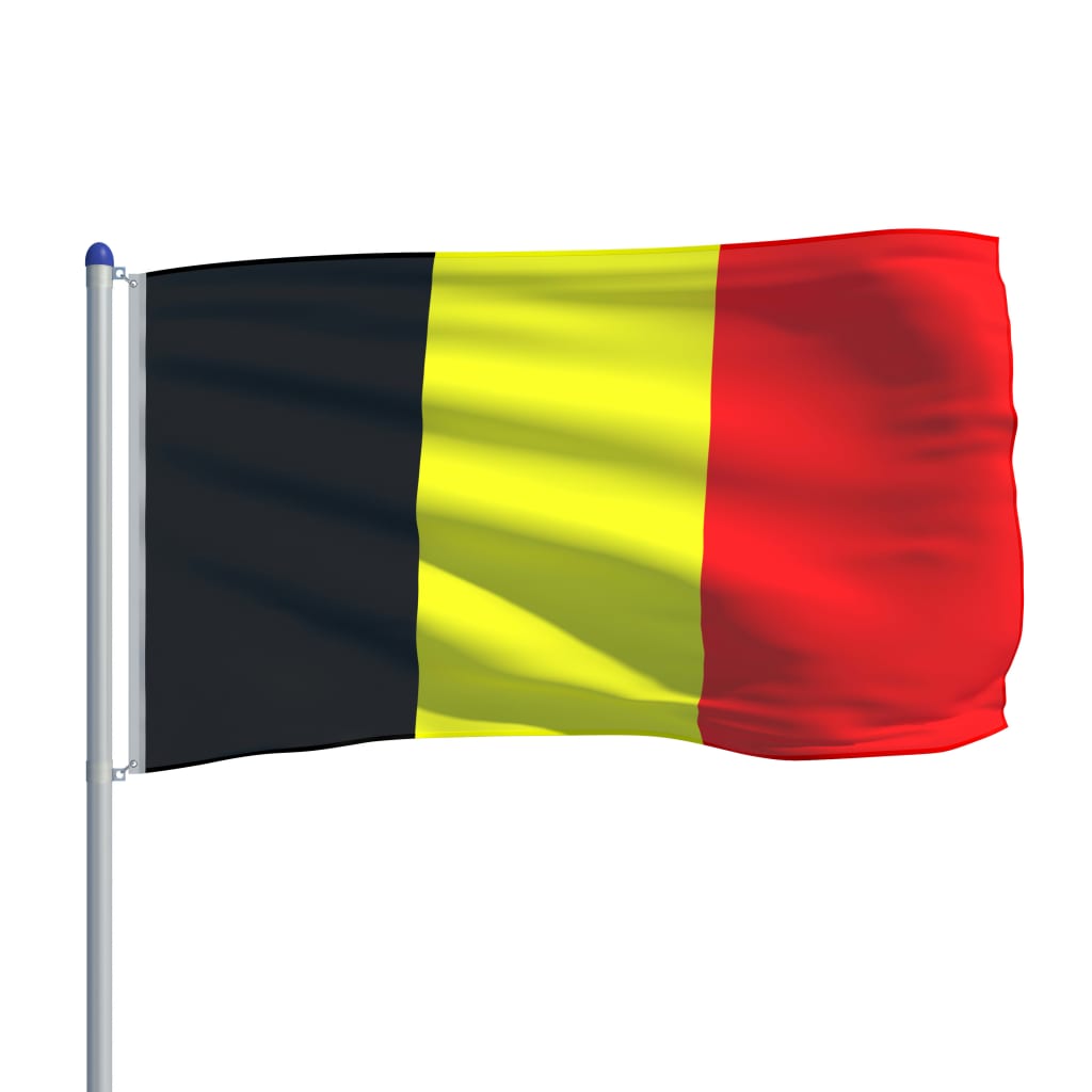 vidaXL Bandeira da Bélgica com mastro de alumínio 6 m