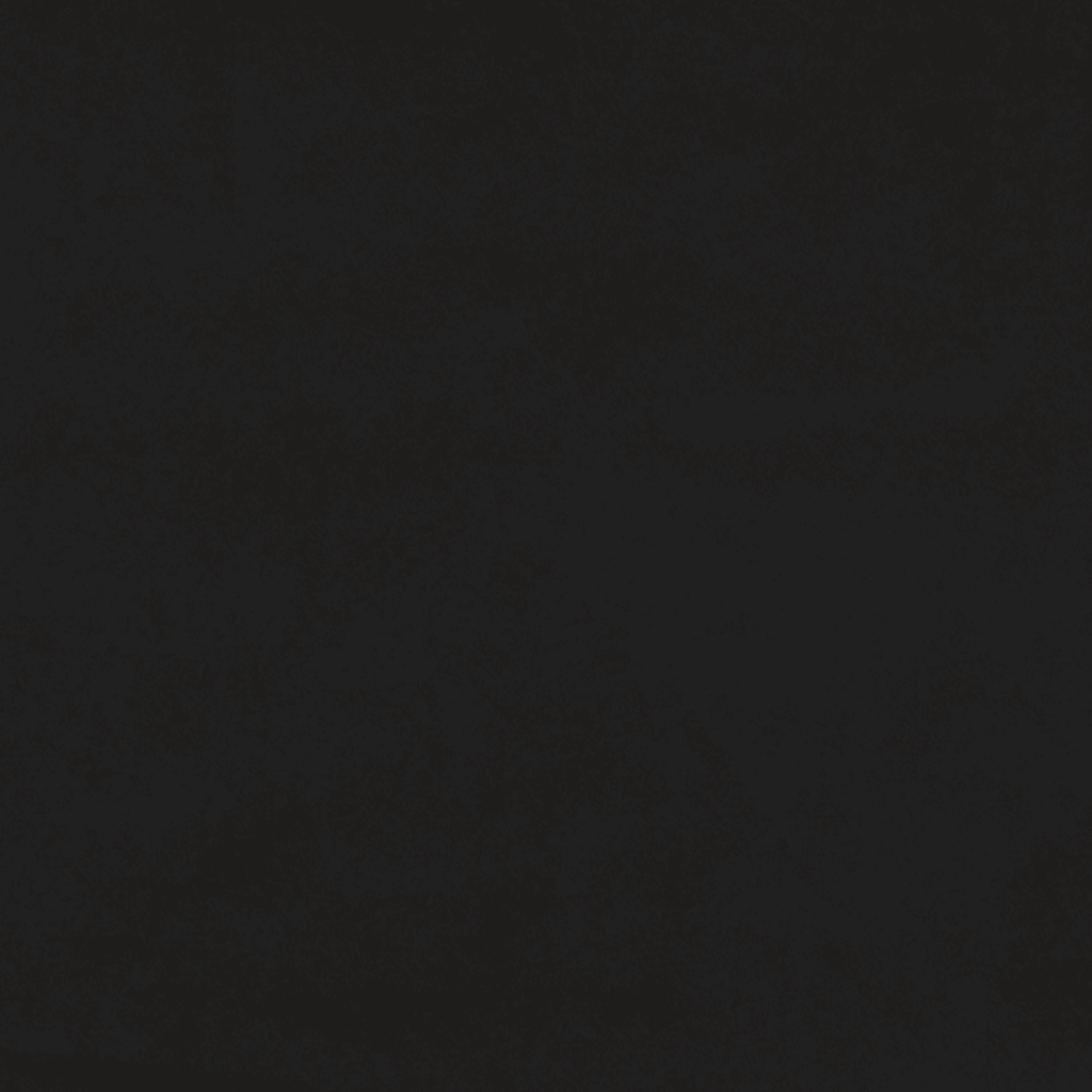 vidaXL Cama com molas/colchão 200x200 cm veludo preto