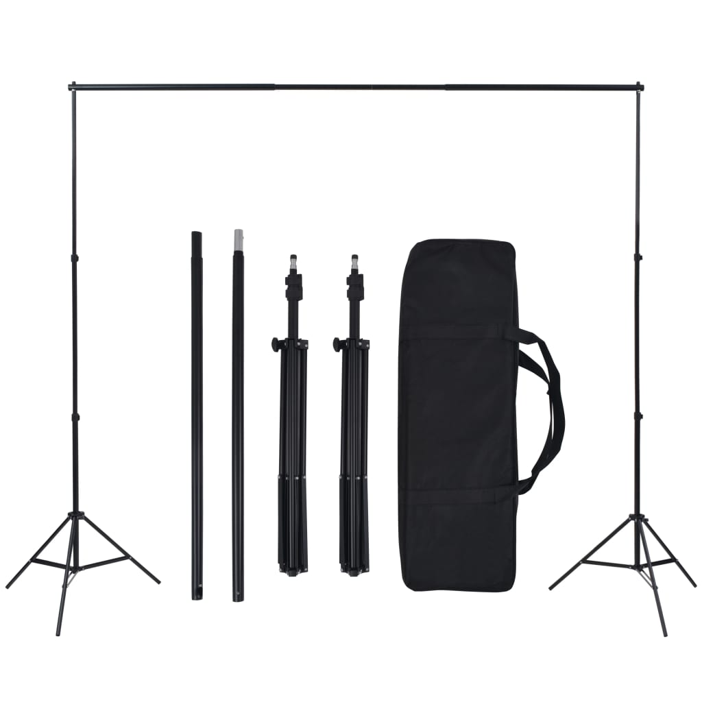 vidaXL Kit de estúdio fotográfico com fundo e conjunto de iluminação