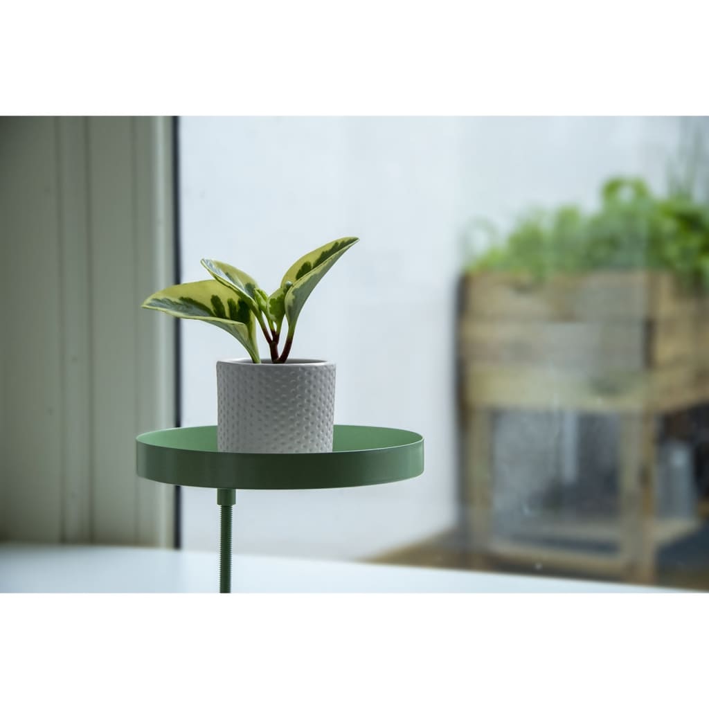 Esschert Design Tabuleiro para plantas redondo com braçadeira M verde