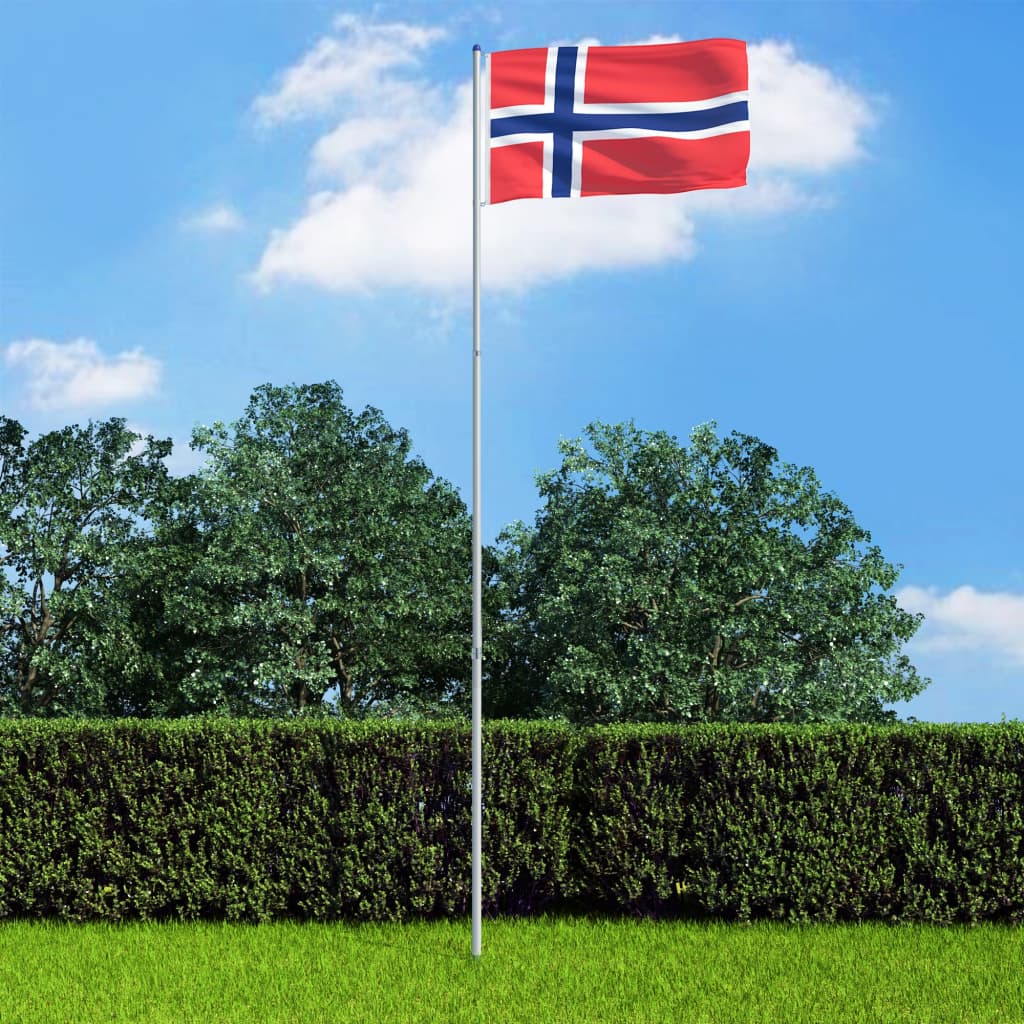 vidaXL Bandeira da Noruega com mastro de alumínio 6 m