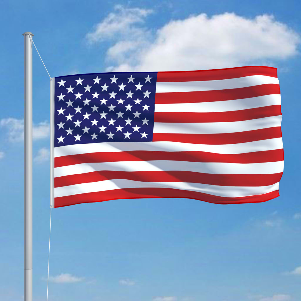 vidaXL Bandeira dos EUA 90x150 cm