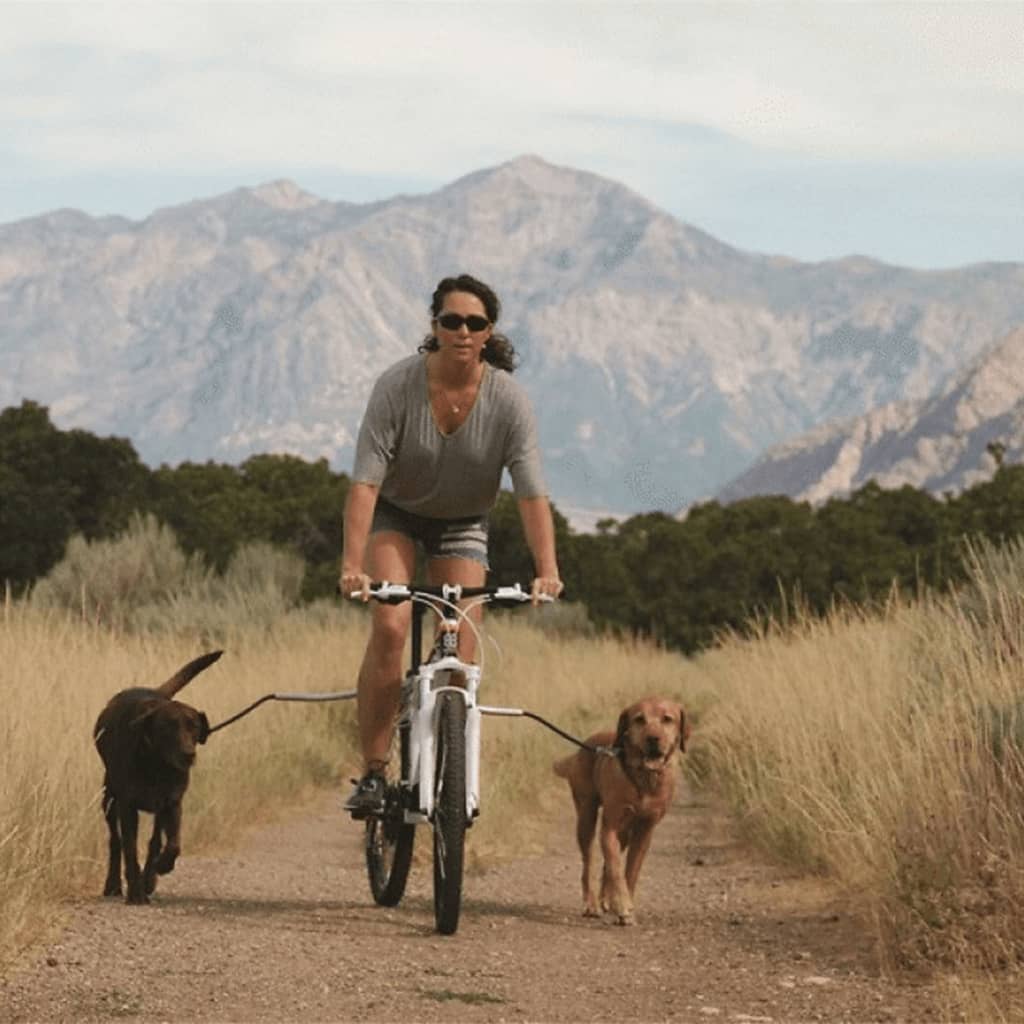 PetEgo Trela de cães para bicicleta universal Cycleash 85 cm