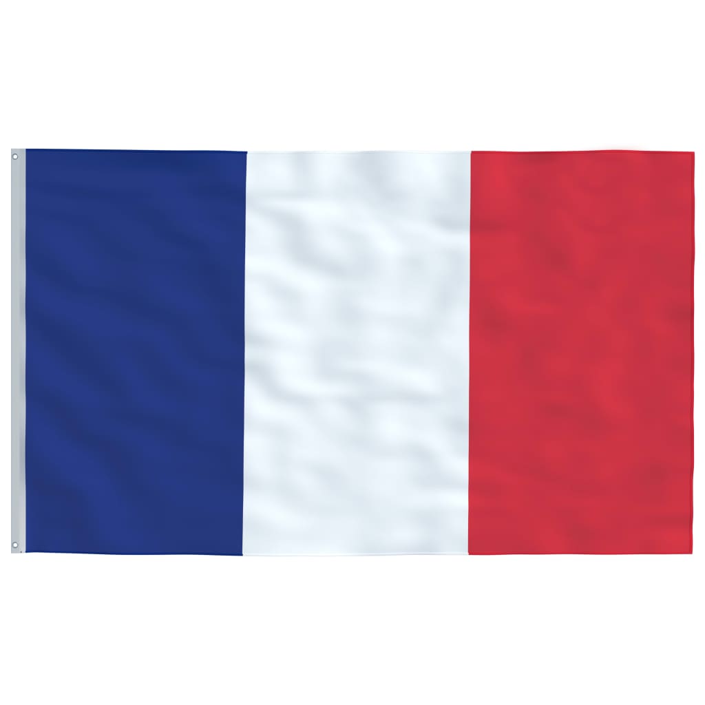 vidaXL Bandeira da França com mastro de alumínio 6 m