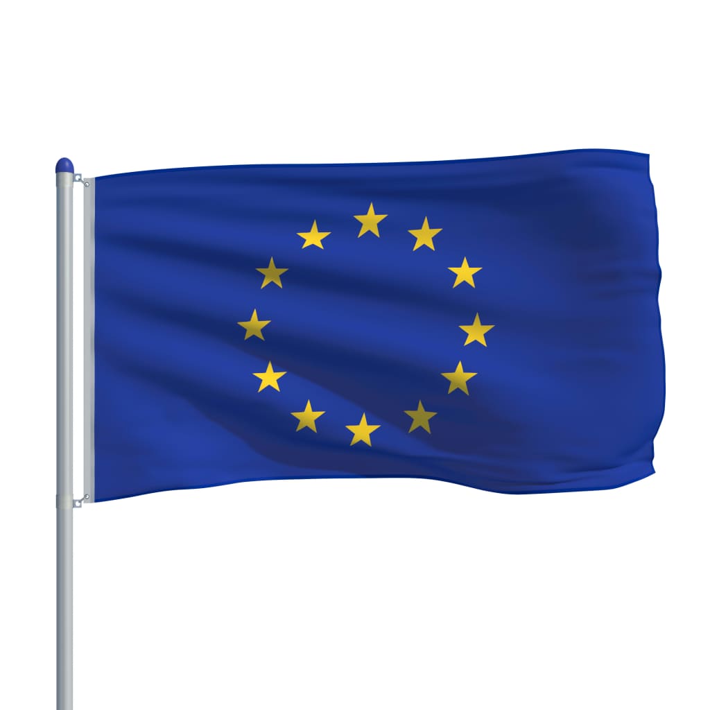 vidaXL Bandeira da Europa com mastro de alumínio 6 m