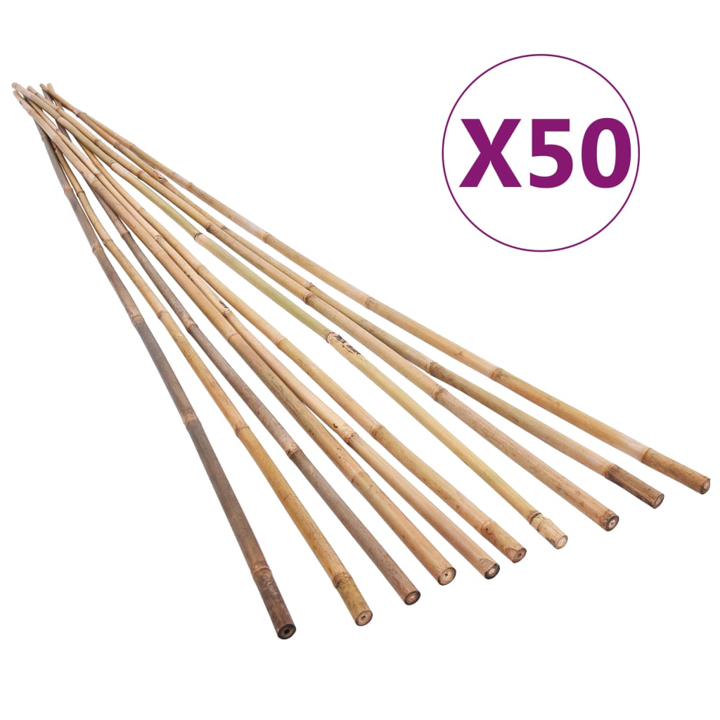 vidaXL Estacas de bambu para jardim 50 pcs 170 cm