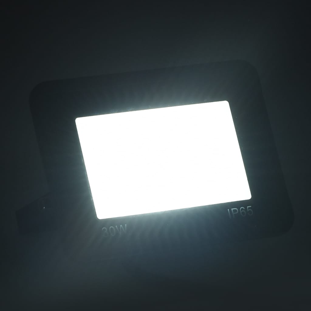 vidaXL Projetor c/ iluminação LED 30 W branco frio