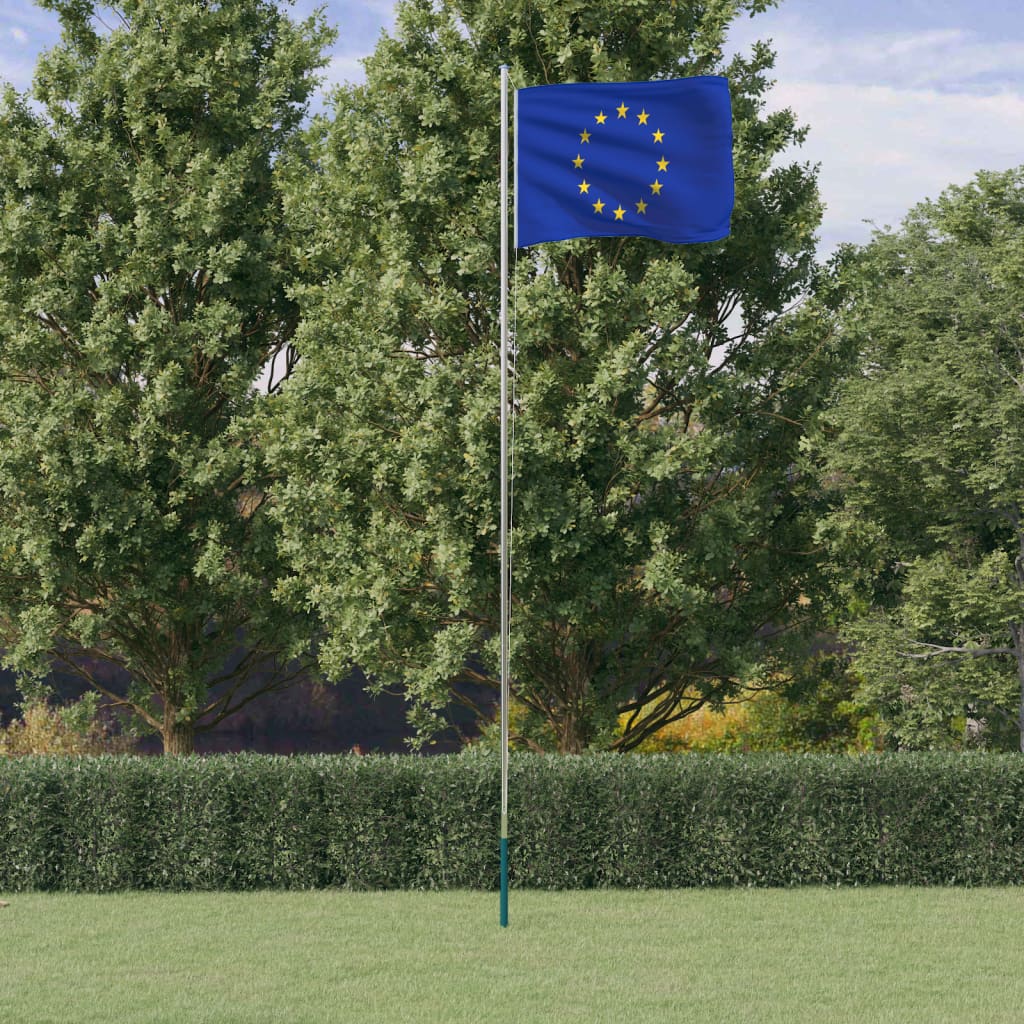 vidaXL Bandeira da União Europeia e mastro 6,23 m alumínio