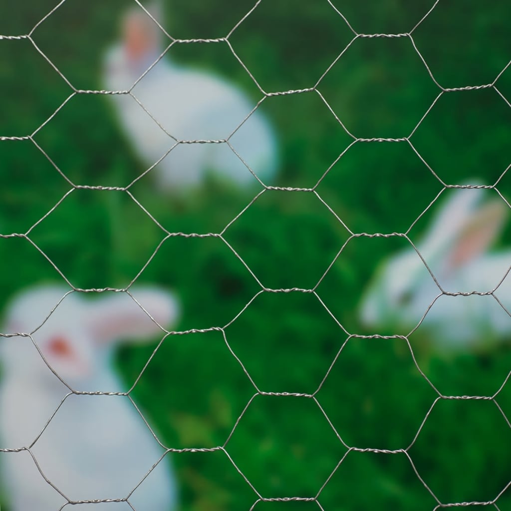 Nature Rede de arame hexagonal 1x10 m 40 mm aço galvanizado