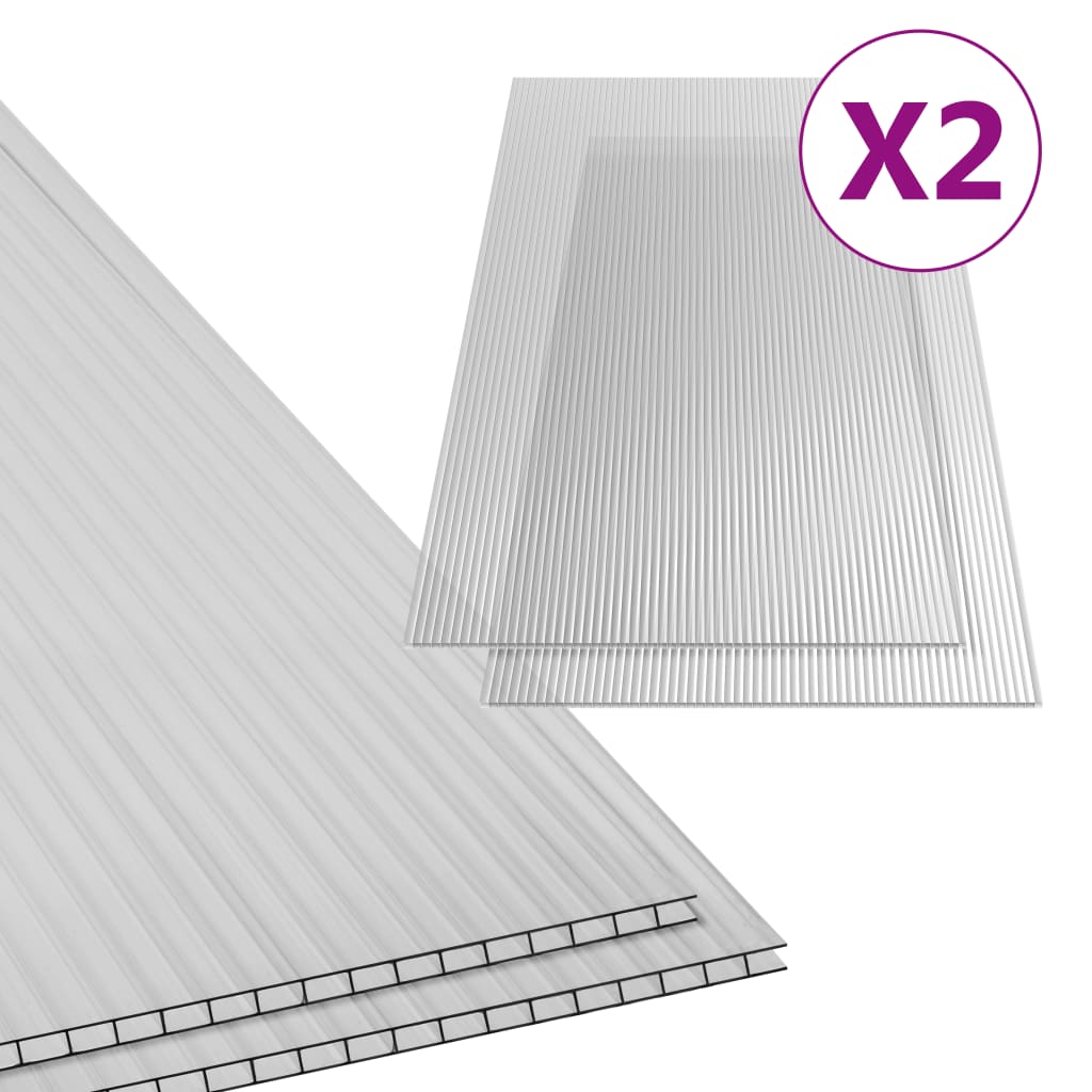 vidaXL Placas de policarbonato 2 pcs 6 mm 150x65 cm